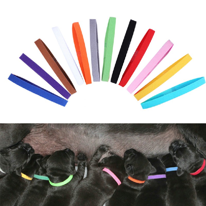 12 colours ID Collars Whelping Newborn Puppy and Kitten ID Collar Bands For Breeders - S